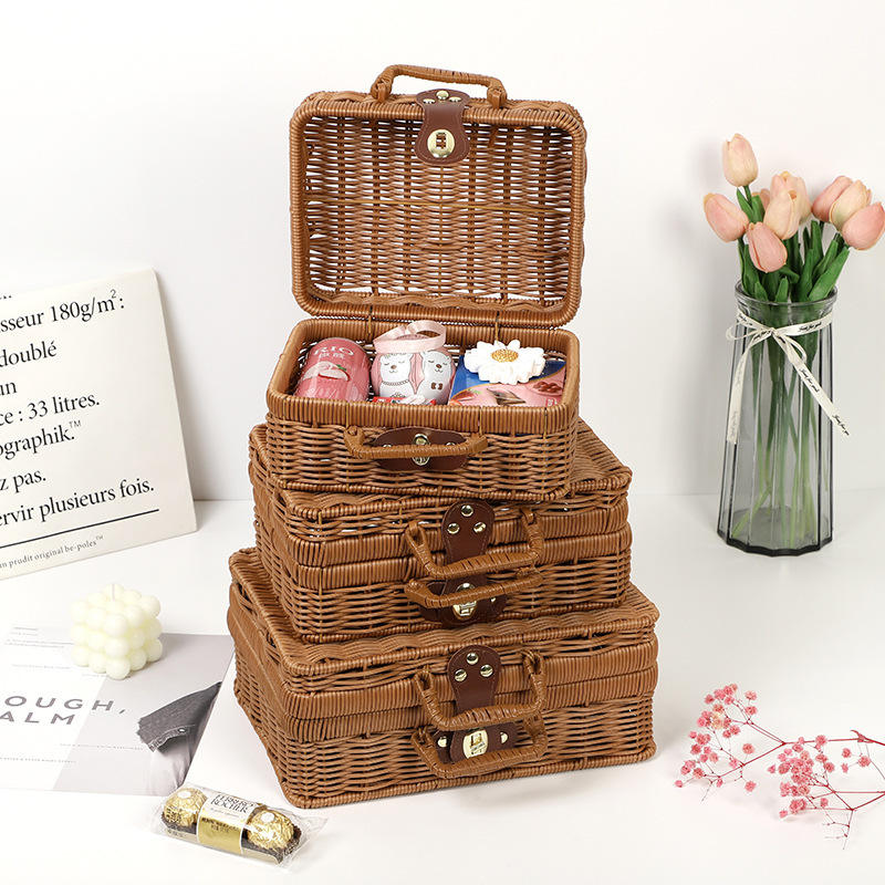 Rattan-Style Storage Suitcase