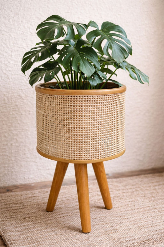 Cane Planter Stand