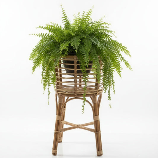 Tall Cane Planter Stand